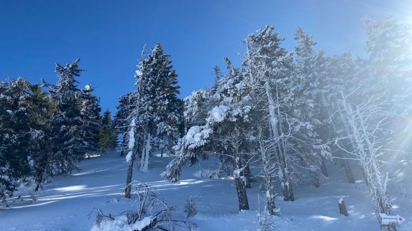 IMG-20220219-WA0013 - Descarcari Whatsapp