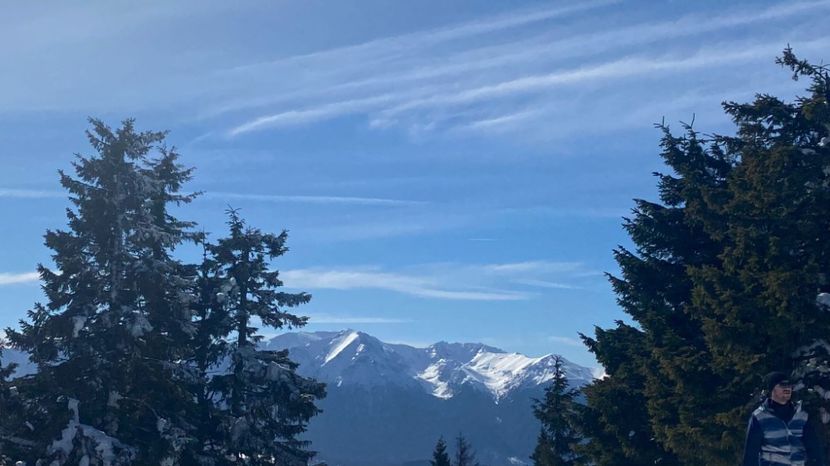 IMG-20220219-WA0028 - Descarcari Whatsapp