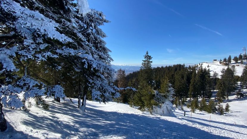 IMG-20220219-WA0045 - Descarcari Whatsapp