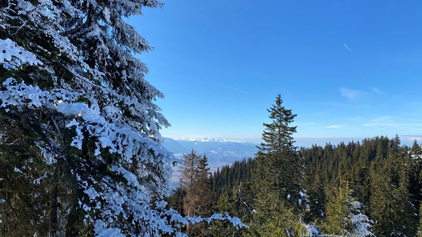 IMG-20220219-WA0047 - Descarcari Whatsapp