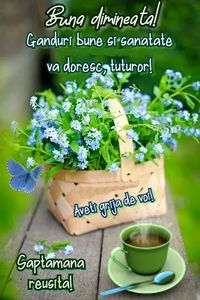 IMG-20220228-WA0020 - Descarcari Whatsapp