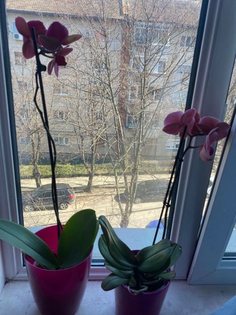 IMG-20220311-WA0020 - Descarcari Whatsapp