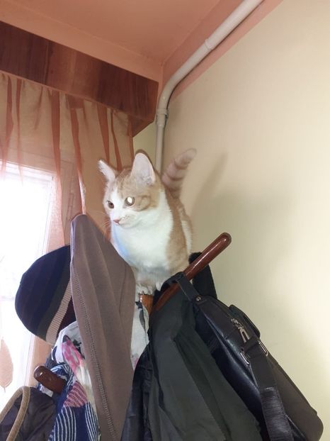 IMG-20220312-WA0003 - Descarcari Whatsapp