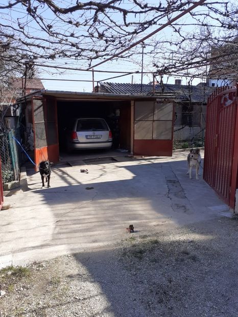 IMG-20220312-WA0004 - Descarcari Whatsapp