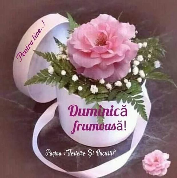 IMG-20220320-WA0001 - Descarcari Whatsapp