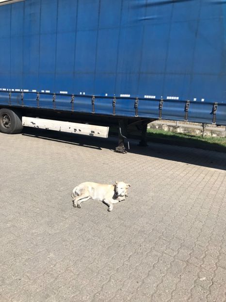 IMG-20220325-WA0004 - Descarcari Whatsapp