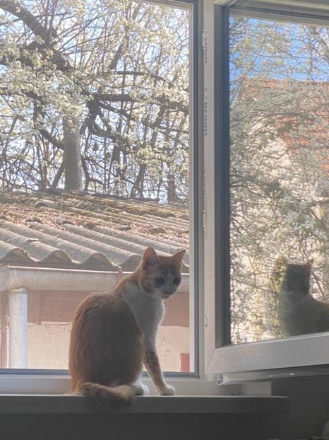 IMG-20220329-WA0006 - Descarcari Whatsapp