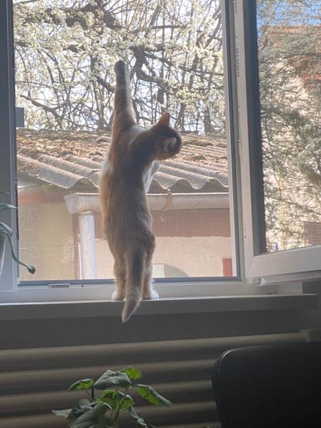 IMG-20220329-WA0007 - Descarcari Whatsapp