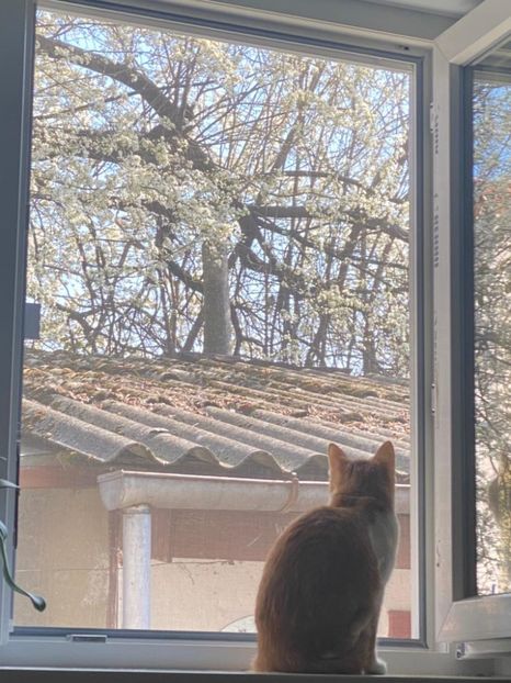 IMG-20220329-WA0008 - Descarcari Whatsapp