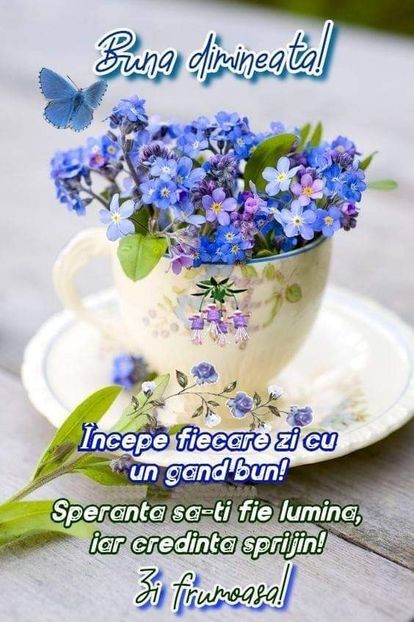 IMG-20220330-WA0001 - Descarcari Whatsapp