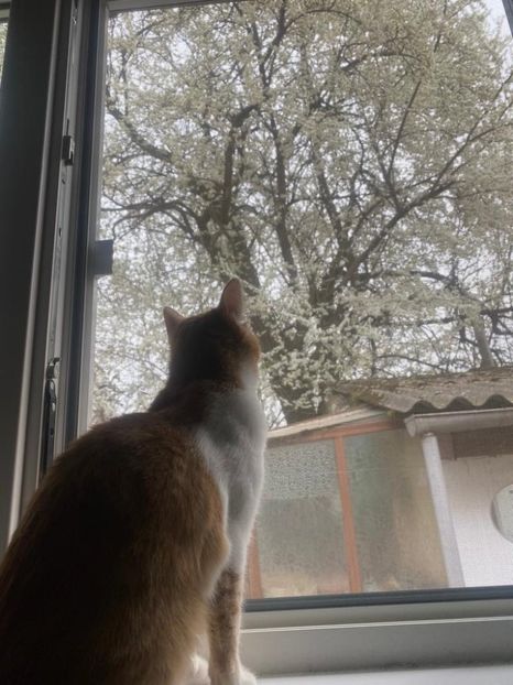 IMG-20220330-WA0008 - Descarcari Whatsapp