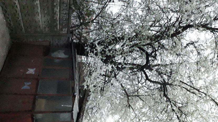 IMG-20220330-WA0019 - Descarcari Whatsapp