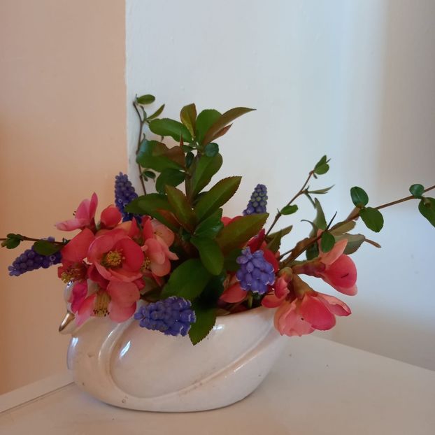 IMG-20220406-WA0003 - Descarcari Whatsapp