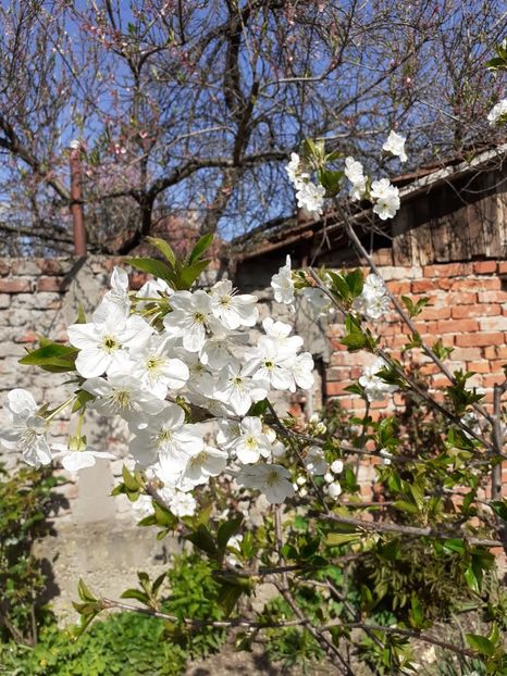 IMG-20220414-WA0001 - Descarcari Whatsapp