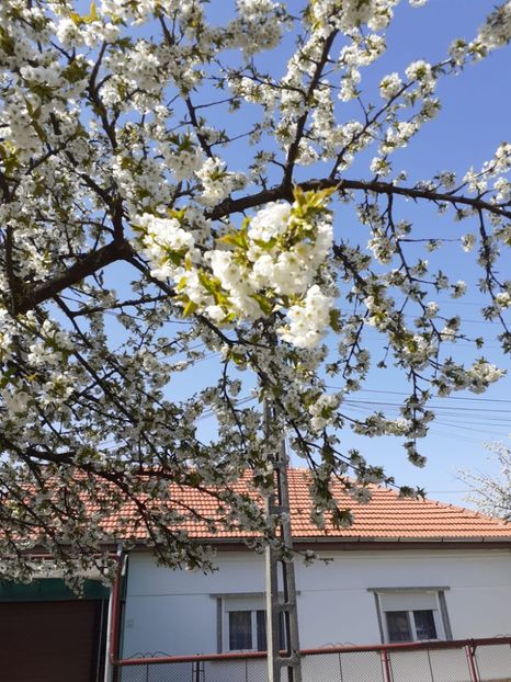 IMG-20220414-WA0004 - Descarcari Whatsapp