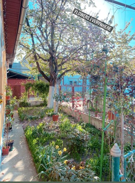 IMG-20220422-WA0003 - Descarcari 2