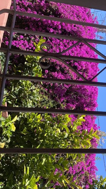 IMG-20220501-WA0009 - Descarcari 2