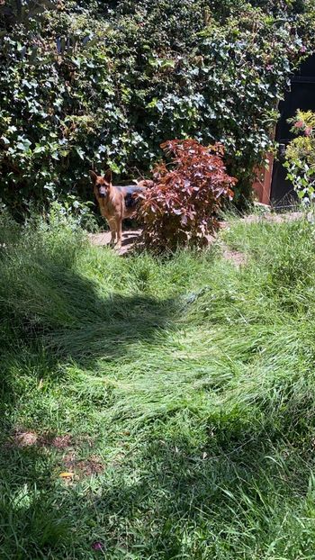 IMG-20220501-WA0010 - Descarcari 2