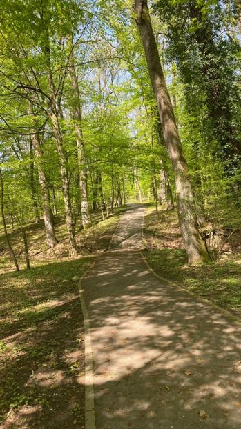 IMG-20220502-WA0007 - Descarcari 2