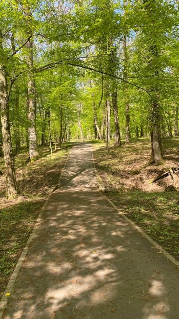 IMG-20220502-WA0008 - Descarcari 2