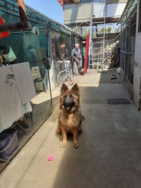 IMG-20220505-WA0005 - Descarcari 2