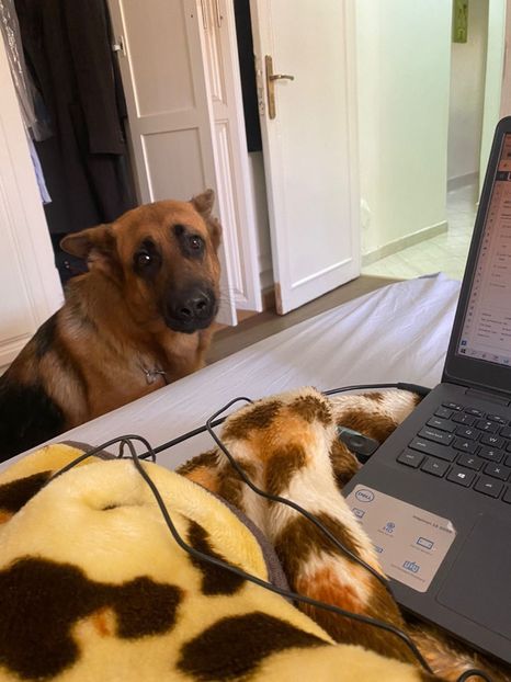 IMG-20220509-WA0009 - Descarcari 2