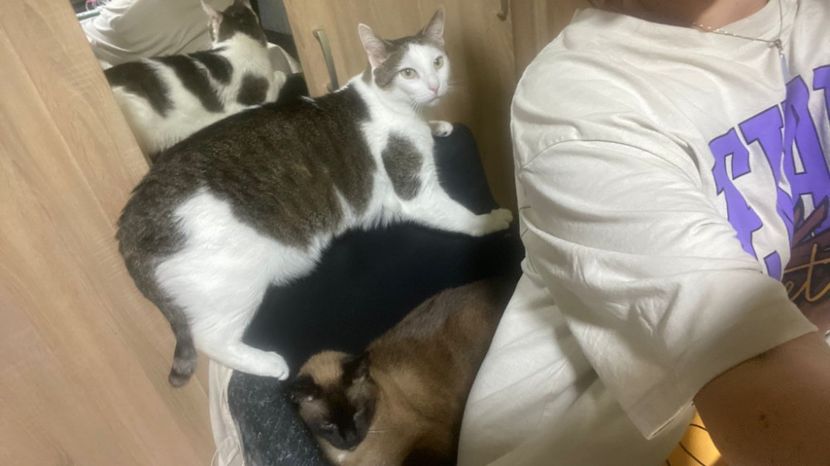 IMG-20220514-WA0004 - Descarcari 2