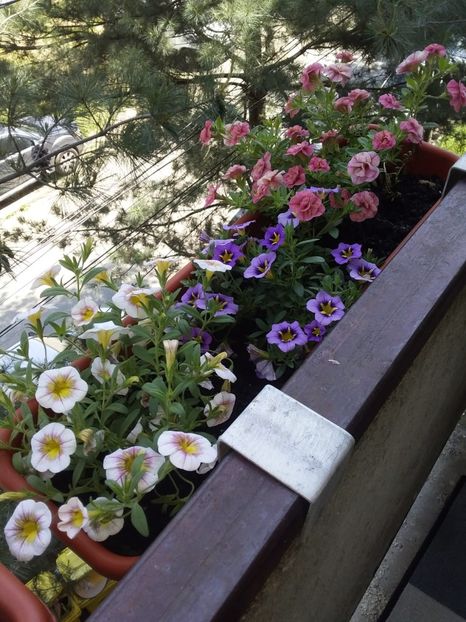 IMG-20220516-WA0029 - Descarcari 2