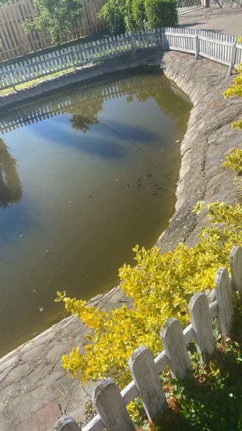 IMG-20220520-WA0010 - Descarcari 2