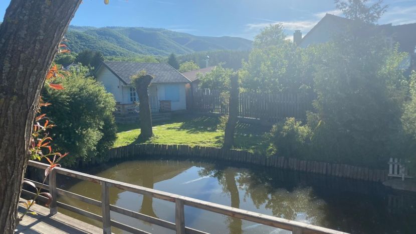 IMG-20220521-WA0004 - Descarcari 2