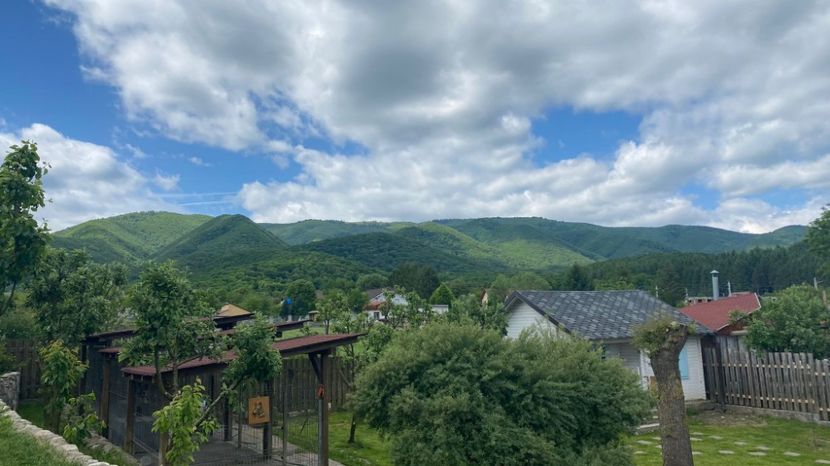 IMG-20220522-WA0005 - Descarcari 2