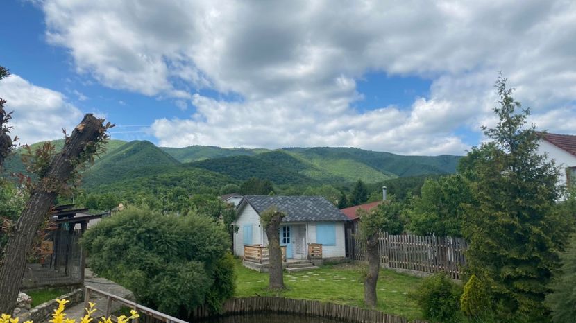 IMG-20220522-WA0006 - Descarcari 2