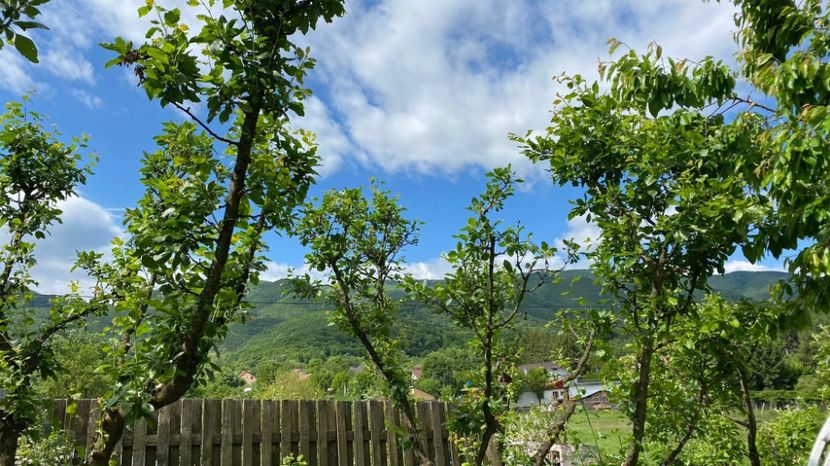 IMG-20220522-WA0011 - Descarcari 2