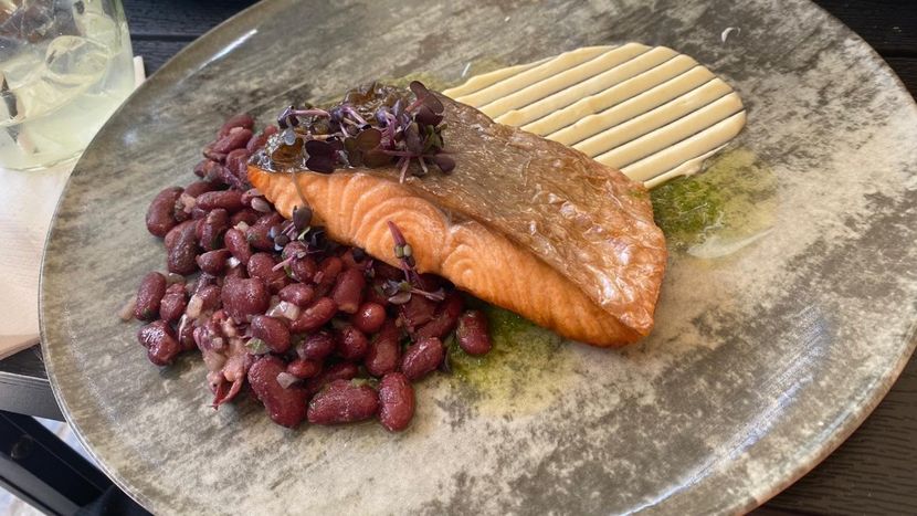 IMG-20220522-WA0014 - Descarcari 2