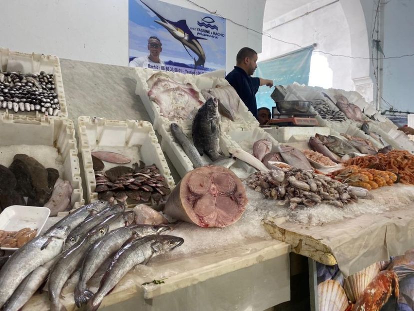 IMG-20220522-WA0026 - Descarcari 2