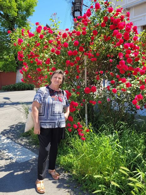 IMG-20220523-WA0009 - Descarcari 2