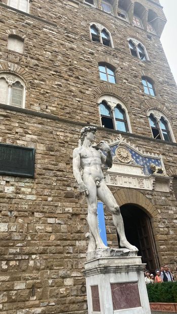 IMG-20220604-WA0028 - Descarcari 2