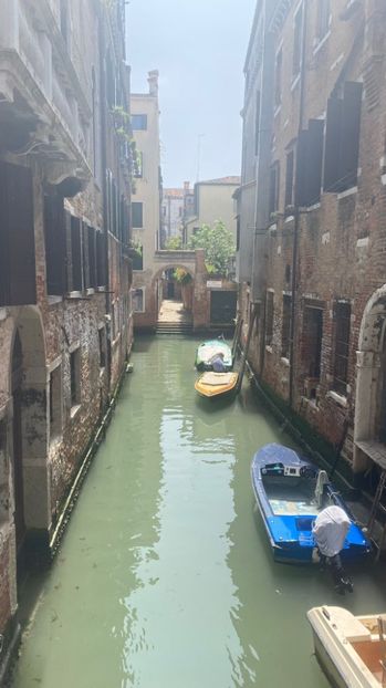 IMG-20220604-WA0070 - Descarcari 2