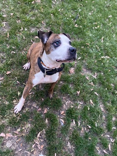 IMG-20220617-WA0005 - Descarcari 2