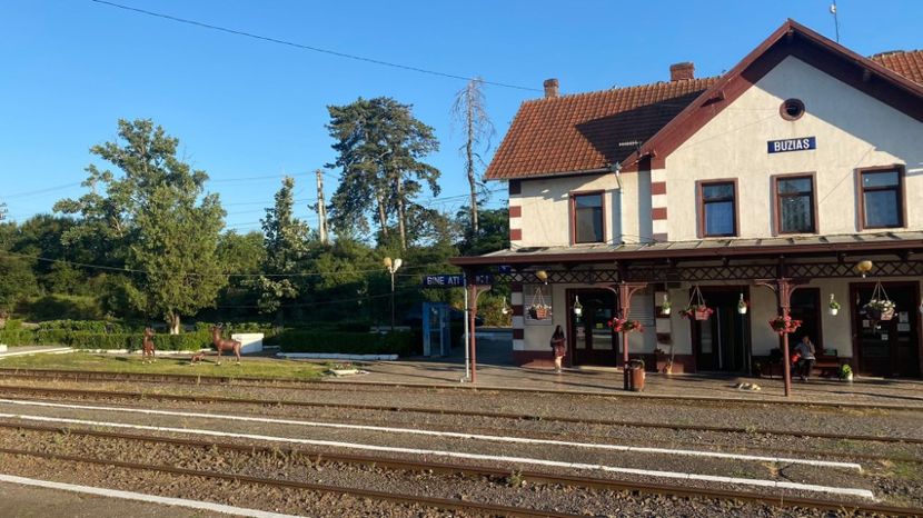 IMG-20220624-WA0006 - Descarcari 2