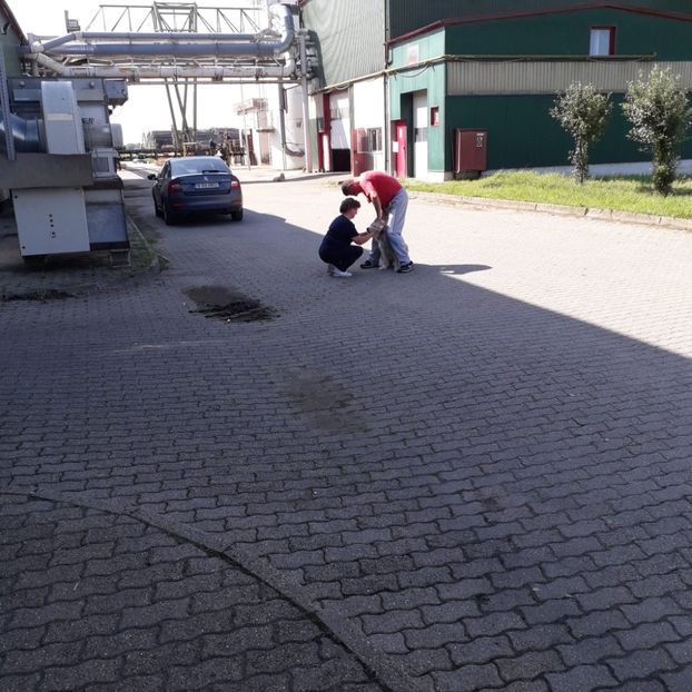 IMG-20220625-WA0002 - Descarcari 2