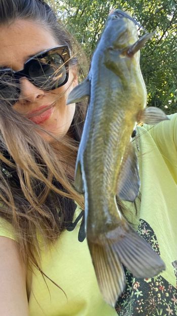 IMG-20220629-WA0011 - Descarcari 2