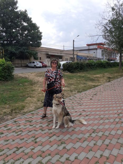 IMG-20220708-WA0011 - Descarcari 2