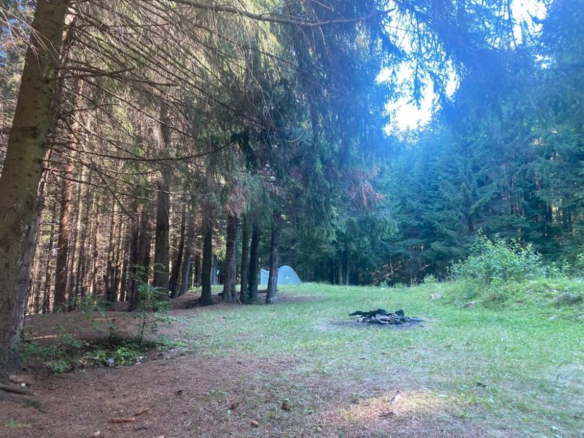 IMG-20220715-WA0011 - Descarcari 2