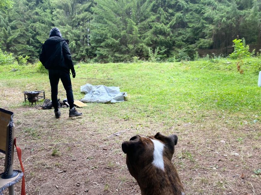 IMG-20220716-WA0002 - Descarcari 2