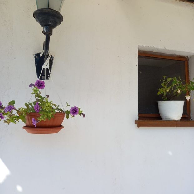 IMG-20220716-WA0005 - Descarcari 2