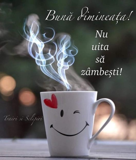 IMG-20220717-WA0000 - Descarcari 2