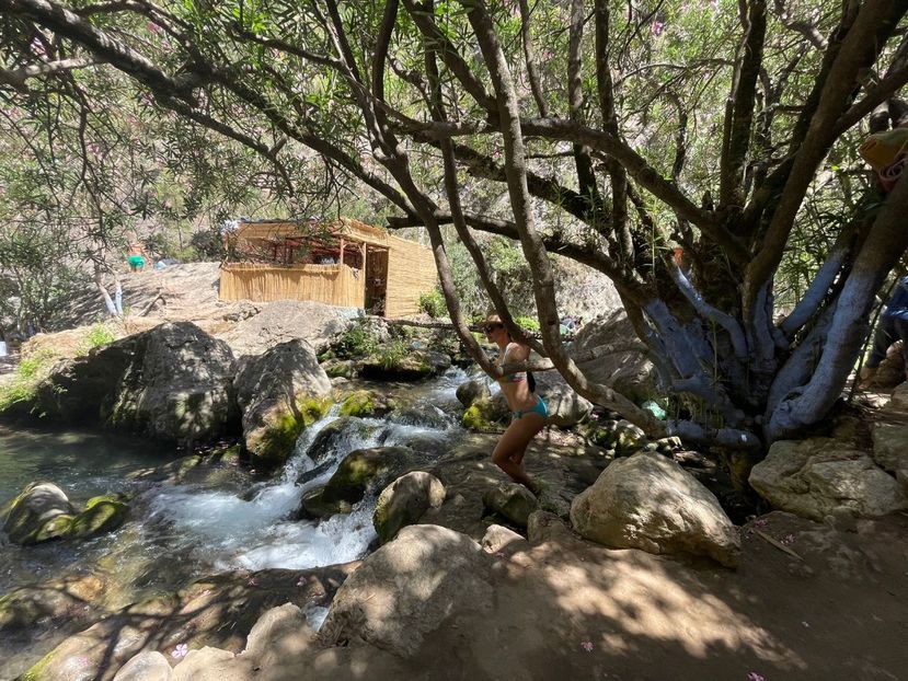 IMG-20220727-WA0005 - Descarcari 2