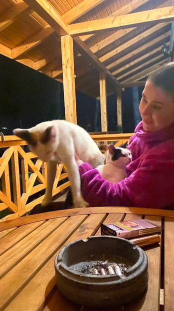 IMG-20220802-WA0042 - Descarcari 2