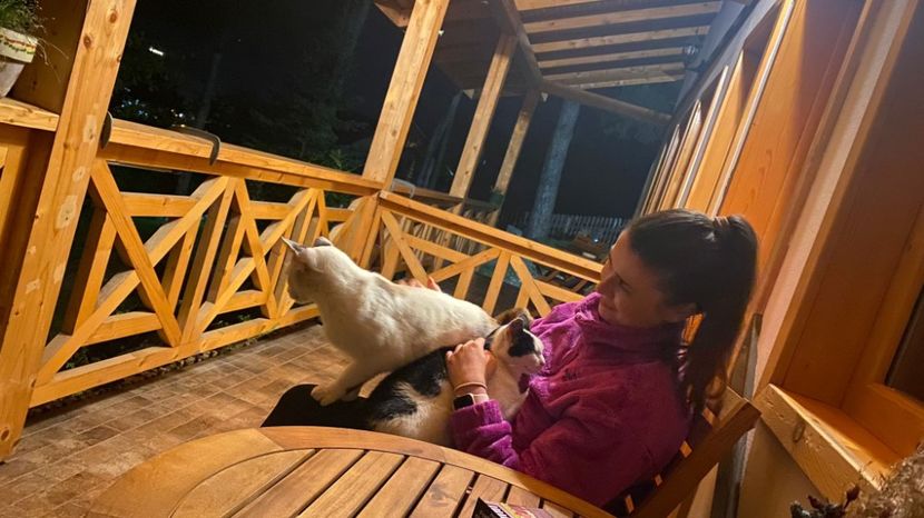 IMG-20220802-WA0043 - Descarcari 2